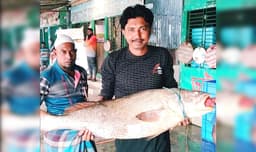 বঙ্গোপসাগরে ধরা পড়লো ৩৭ কেজি ওজনের কালো পোয়া, লাখ টাকায় বিক্রি