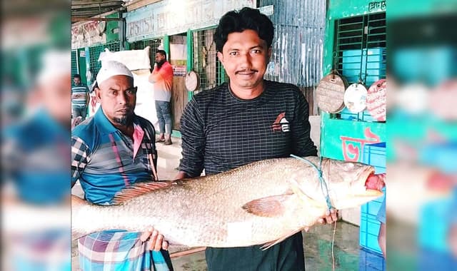 বঙ্গোপসাগরে ধরা পড়লো ৩৭ কেজি ওজনের কালো পোয়া, লাখ টাকায় বিক্রি