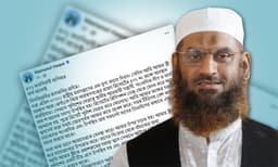 নারায়ণগঞ্জ রিসোর্ট ঘটনায় নতুন ব্যাখ্যা দিলেন মামুনুল হক