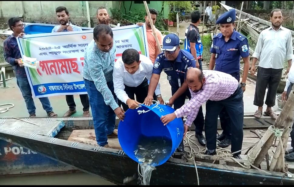 হিজলায় দেশীয় মাছ রক্ষায় পোনা অবমুক্ত অভিযান