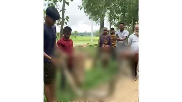 শ্রীমঙ্গলে বিশাল অজগর উদ্ধার, আতঙ্ক কেটে স্বস্তি