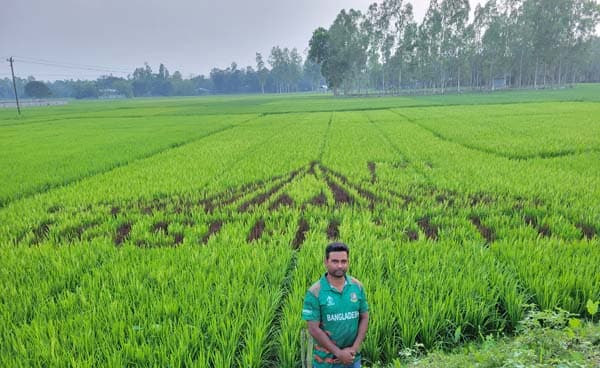ধানক্ষেতে জাতীয় স্মৃতিসৌধ, শিক্ষকের অনন্য দেশপ্রেমের উদাহরণ