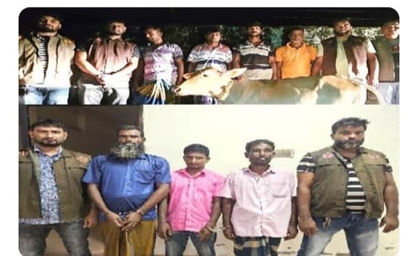 সিরাজগঞ্জে গরু খামারে খুন, ৭ ডাকাত গ্রেফতার