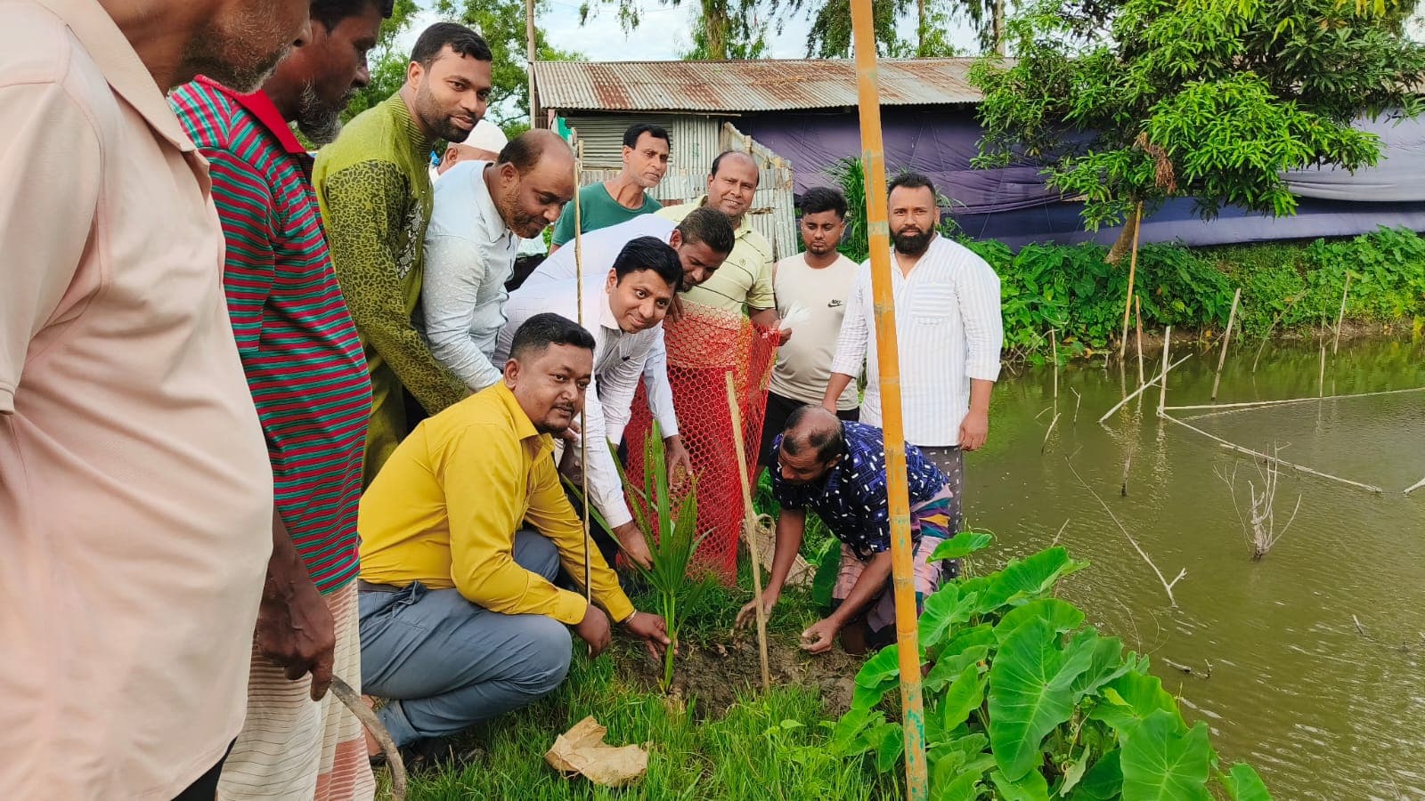 সরাইলে বজ্রপাত প্রতিরোধে তালের চারা রোপণ কর্মসূচি উদ্বোধন