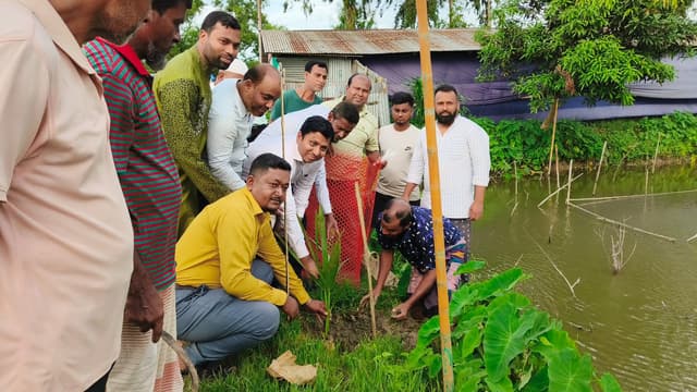সরাইলে বজ্রপাত প্রতিরোধে তালের চারা রোপণ কর্মসূচি উদ্বোধন