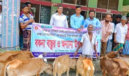 রাজাপুরে জেলেদের টেকসই জীবিকায় গবাদিপশু সহায়তা