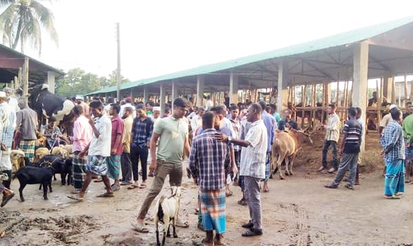মৌলভীবাজারে ইজারাহীন হাটবাজারে কোটি টাকার রাজস্ব ক্ষতি