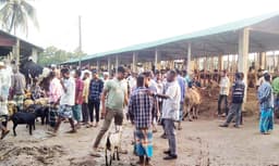 মৌলভীবাজারে ইজারাহীন হাটবাজারে কোটি টাকার রাজস্ব ক্ষতি