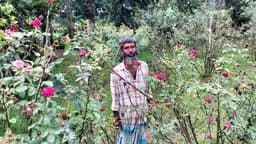 রিকশা চালিয়ে শহীদদের গণকবরে ফুলের বাগান করে বীর সন্তানদের স্মরণ