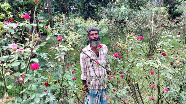 রিকশা চালিয়ে শহীদদের গণকবরে ফুলের বাগান করে বীর সন্তানদের স্মরণ