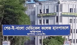 বরিশালে ডেঙ্গুতে গৃহবধূর মৃত্যু, হাসপাতালে নতুন রোগীর ভিড়