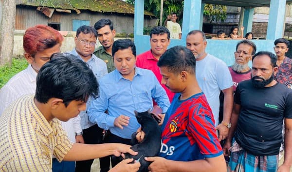 বিশ্ব জলাতঙ্ক দিবসে সরাইলে অর্ধশত কুকুর ও বিড়ালকে টিকা প্রদান