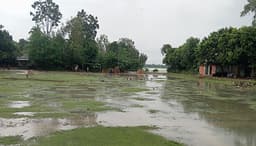 সামান্য বৃষ্টিতেই আত্রাইয়ে স্কুল মাঠে জলাবদ্ধতা,  বিপাকে শিক্ষার্থীরা