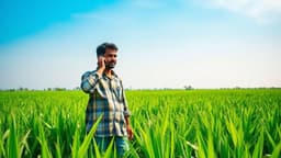 ধান চাষিদের জন্য ব্রির ২৪ ঘণ্টার হেল্পলাইন চালু