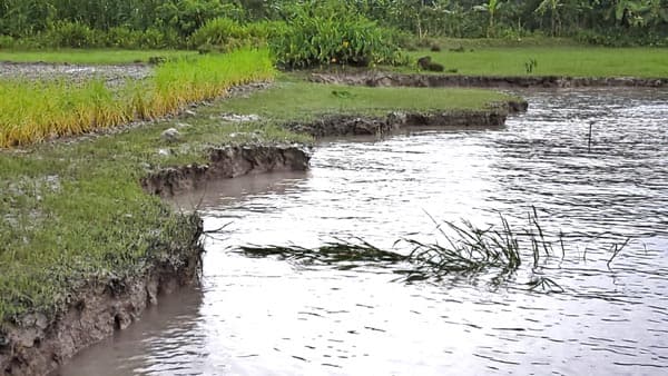পটুয়াখালীতে প্রভাবশালীদের মাটি বাণিজ্যে ভাঙনের মুখে বাজার
