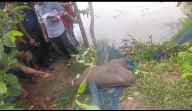 কুকুরের লাশ ঘিরে লাশের গুঞ্জন, কোম্পানীগঞ্জে চাঞ্চল্য