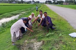 কুয়াকাটায় বাতিঘর এর উদ্যোগে তালের বীজ রোপণ