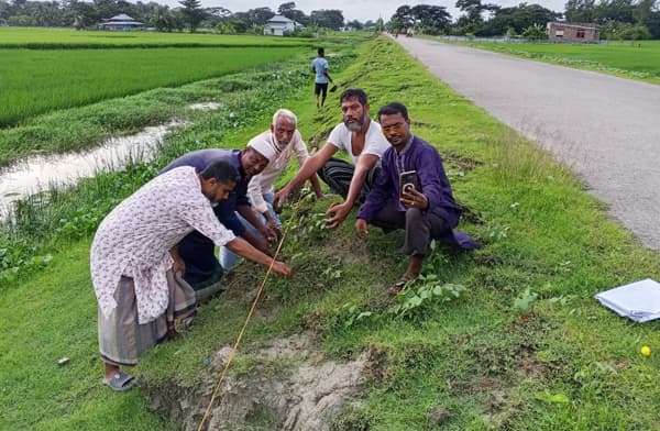 কুয়াকাটায় বাতিঘর এর উদ্যোগে তালের বীজ রোপণ