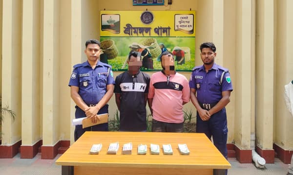 শ্রীমঙ্গলে মাদক বিক্রির ৫ লাখ টাকাসহ ২ কারবারি গ্রেফতার
