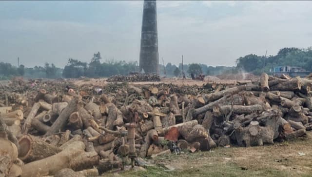 মেহেরপুরে অবৈধ ইটভাটায় শতভাগ ভ্যাট আদায় !