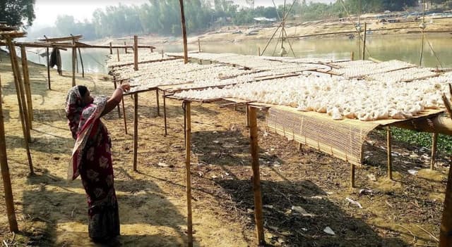 আত্রাইয়ের নারীদেরতৈরি কুমড়ো বড়ির কদর সারাদেশে