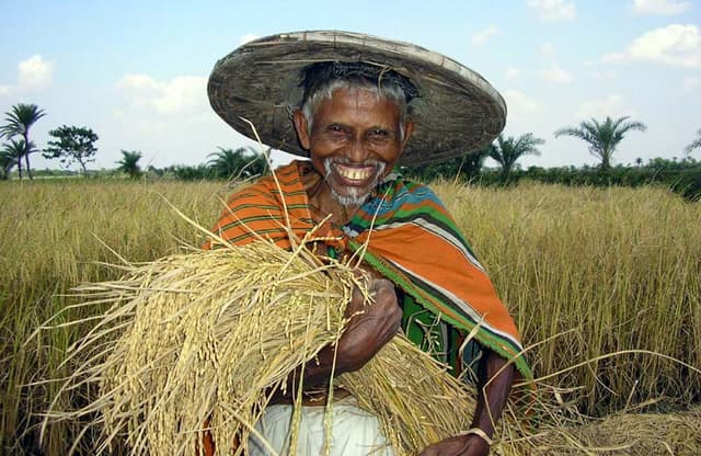 পৃথিবীখ্যাত বিজ্ঞানীদের পাশে ঝিনাইদহের হরিপদ কাপালী !