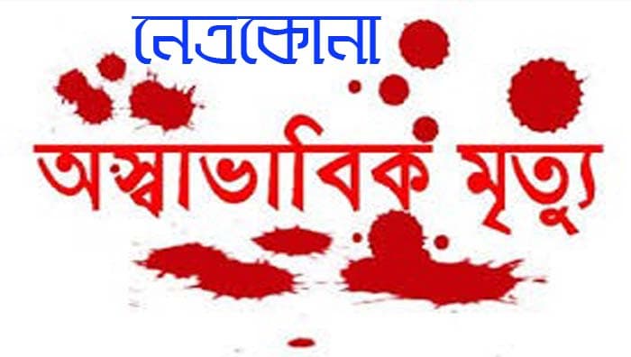 নেত্রকোনায় এক বছরে ২৬১টি অস্বাভাবিক মৃত্যু, জনমনে উদ্বেগ