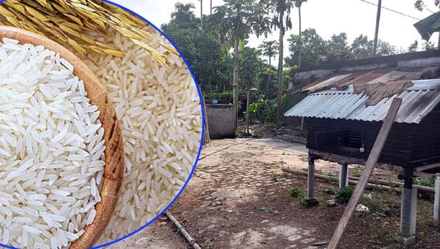 হরিণাকুন্ডুতে বন্ধ মিল সচল দেখিয়ে গুদামে চাল বিক্রির অভিযোগ