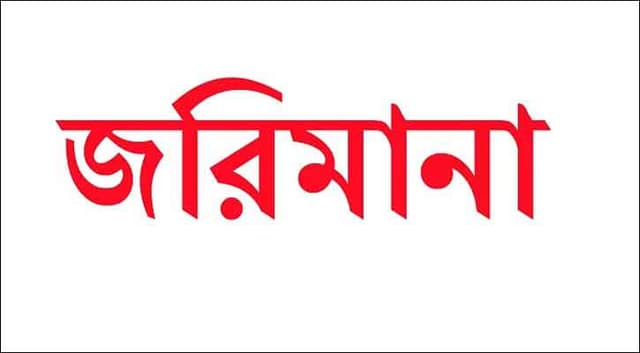 হাতিয়ায় ২ ইটভাটা বন্ধ; জরিমানা ১ লক্ষ ৫০ হাজার টাকা