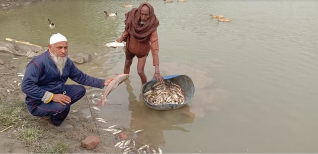 লালপুরে মাছের সঙ্গে এ কেমন শত্রুতা