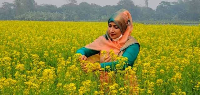নতুন বছরে এমপি শিউলি আজাদে'র সরিষা ফুলের সোনালী উপহার