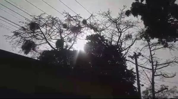 হিলিতে ৭ দিন পর দেখা মিলল সূর্যের, জনজীবন বিপর্যস্ত