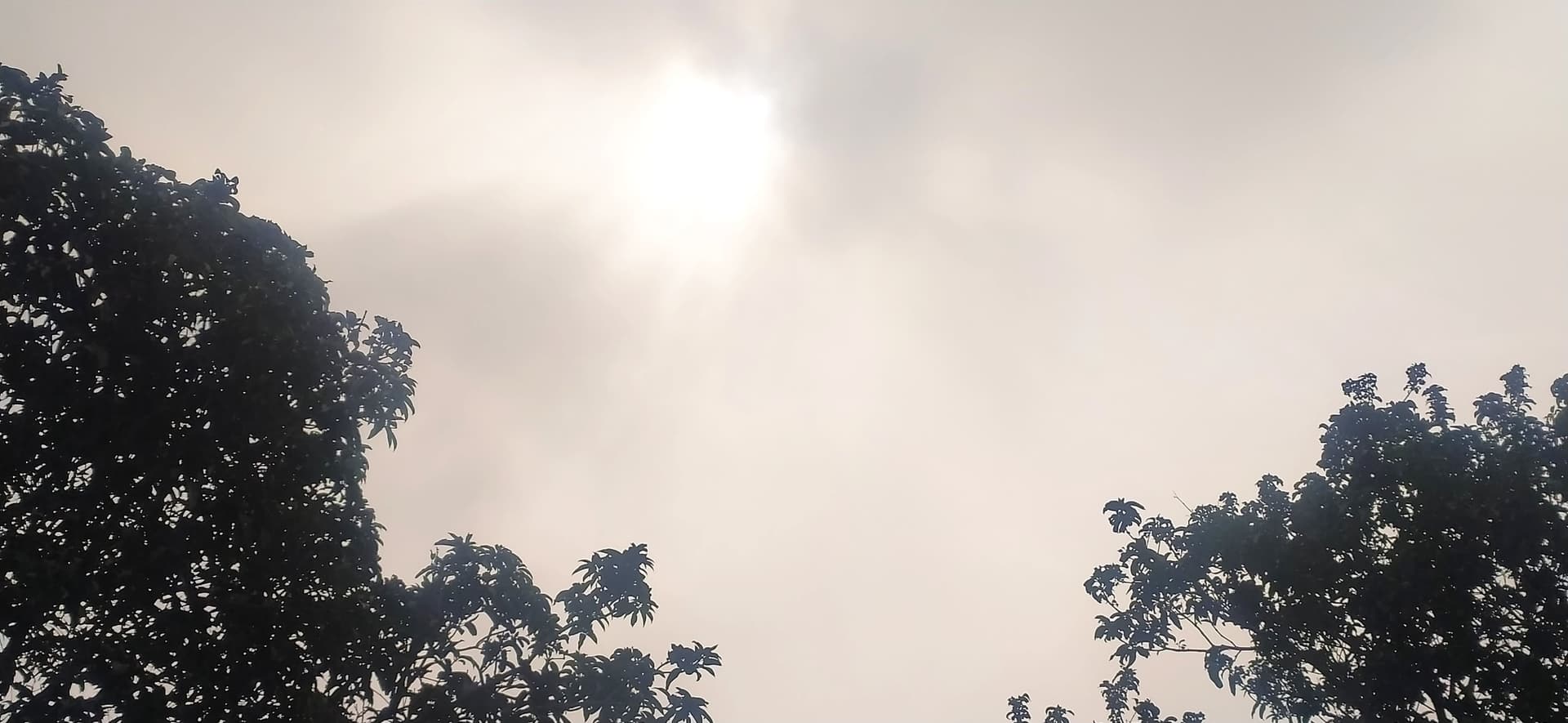 টানা আট দিন পরে আজ সকাল থেকে সূর্যের দেখা মিলছে হিলিতে