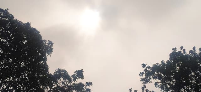 টানা আট দিন পরে আজ সকাল থেকে সূর্যের দেখা মিলছে হিলিতে