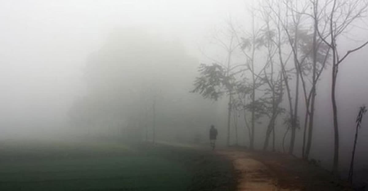 শ্রীমঙ্গলে তাপমাত্রা নামল ৫ ডিগ্রিতে