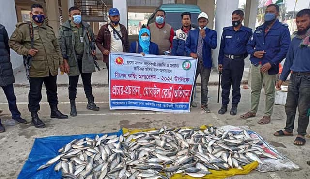কাউখালীতে মোবাইল কোর্টে ১১০ কেজি জাটকা ইলিশ আটক