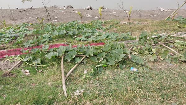 ভাতিজাদের বিরুদ্ধে চাঁদা দাবীর মামলা করলেন চাচা!