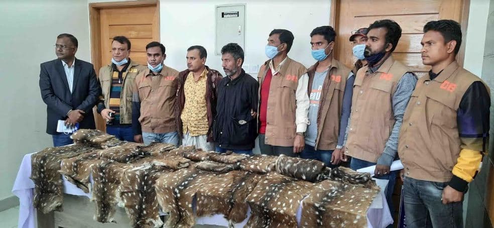 সুন্দরবনের ১৯টি হরিণের চামড়াসহ আটক ২