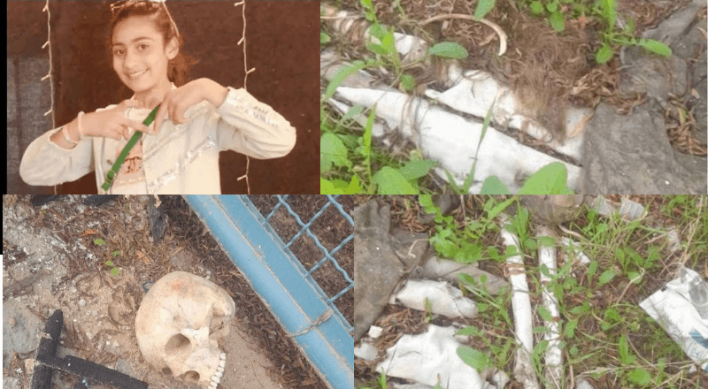 পানি পান করার সময় ইসরায়েলি স্নাইপারের গুলিতে নিহত আয়াহ আলি আল-দাব্বা