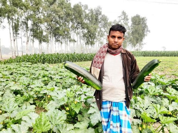 মধ্য প্রাচ্যের সবজি স্কোয়াশ চাষ হচ্ছে এখন আত্রাইয়ের মাটিতে