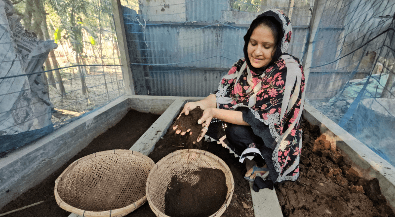 গোয়ালন্দে কেঁচো সারের মাধ্যমে স্বাবলম্বী নারীরা