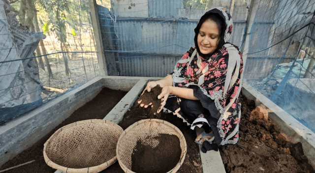 গোয়ালন্দে কেঁচো সারের মাধ্যমে স্বাবলম্বী নারীরা