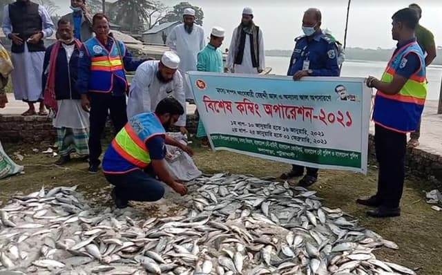 ৩ লাখ মিটার কারেন্ট জালসহ ১০ মন জাটকা জব্দ