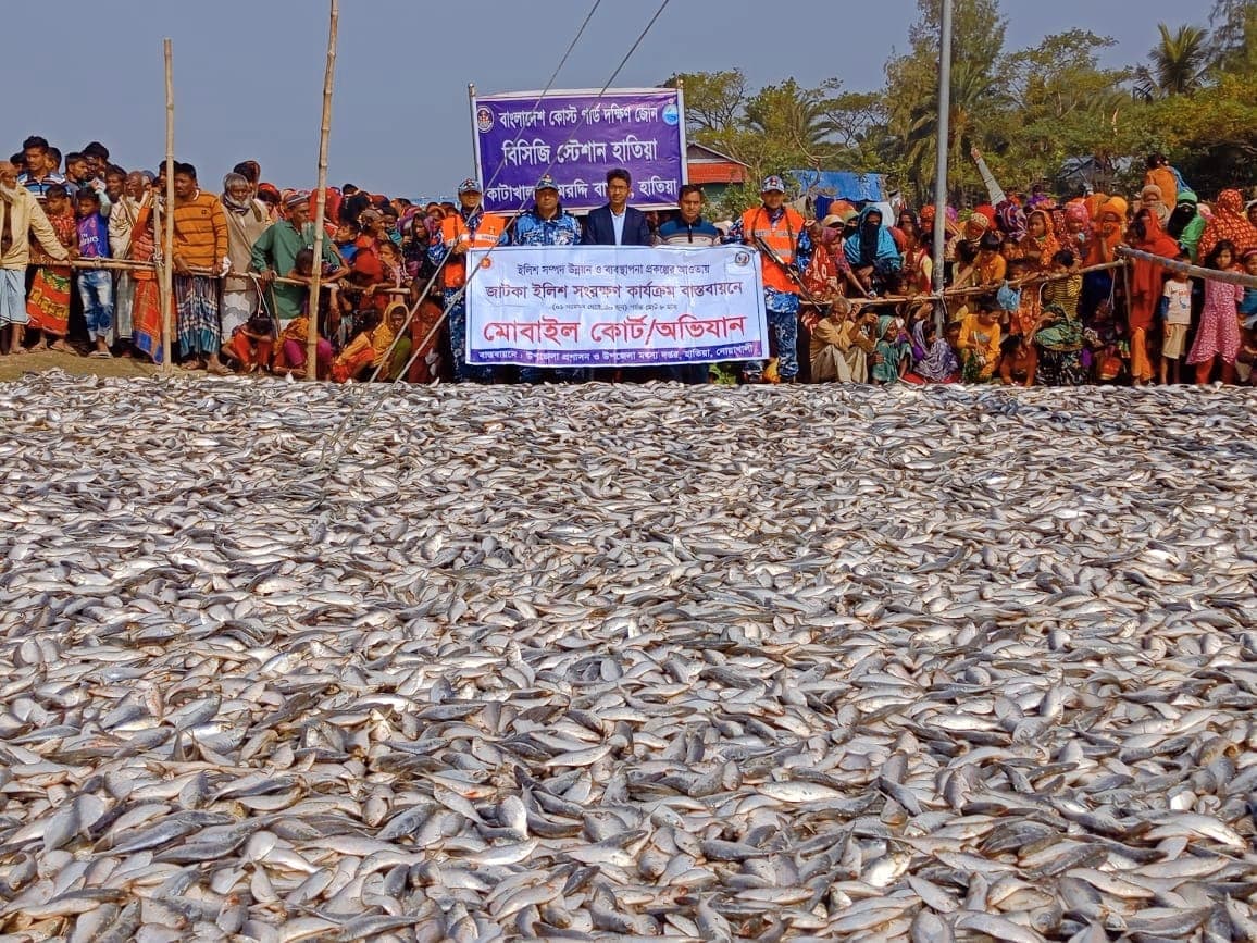 মেঘনা নদী থেকে ৪২০ মন জাটকা জব্দ, অতঃপর