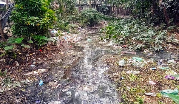 রাজাপুরে হারিয়ে যাচ্ছে খরস্রোতা খাল, খননের দাবি এলাকাবাসির