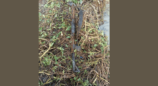 নালায় মাছ ধরে মিলল লুট হওয়া শটগান