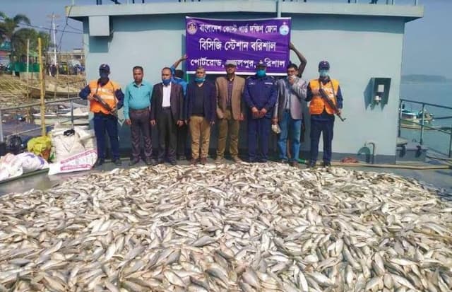 বাংলাদেশ কোস্ট গার্ডের অভিযানে বিপুল পরিমান জাটকাসহ স্টীল বডি জব্দ