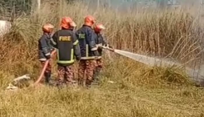 রাজবাড়ীতে কাশবনে আগুন, ৪৫ মিনিটের চেষ্টায় নিয়ন্ত্রণে