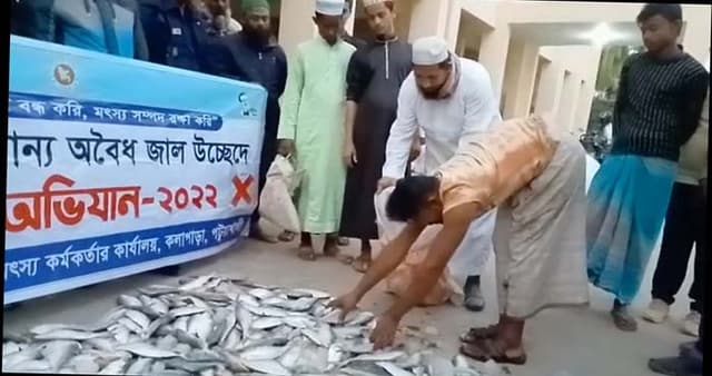 কুয়াকাটায় জাটকা ইলিশসহ দুই লাখ মিটার কারেন্ট জাল জব্দ