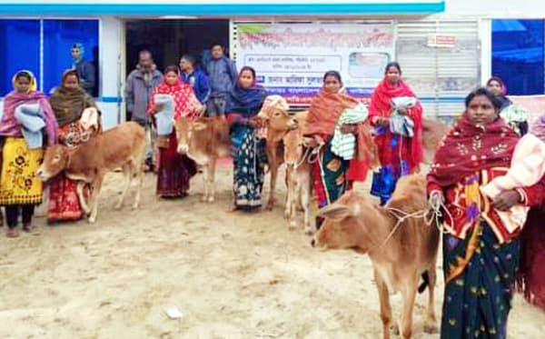 পাঁচবিবিতে গরীব, অসহায় ও দুঃস্থদের মাঝে গরু বিতরণ